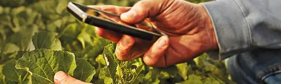 mobile, agronomic tools