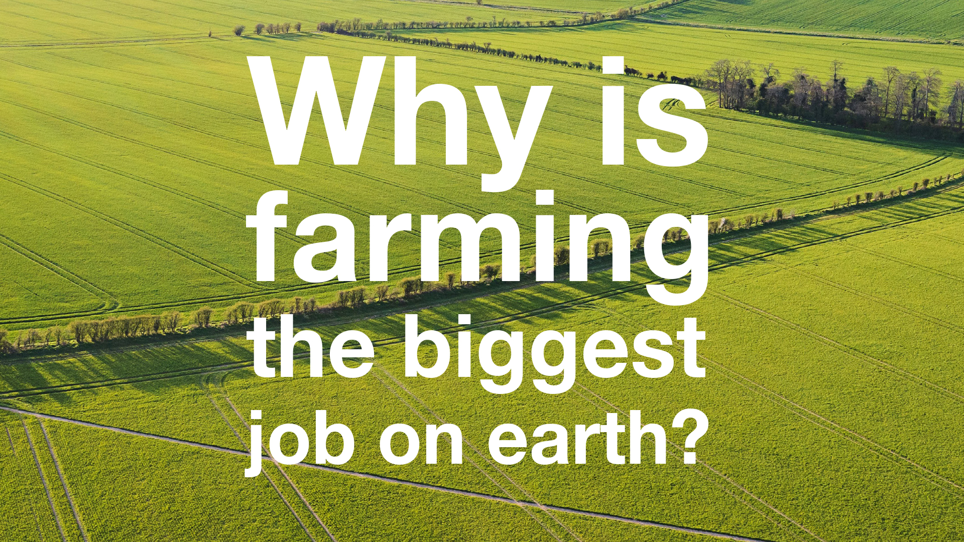 Sustainability, biodiversity, BASF, Agriculture